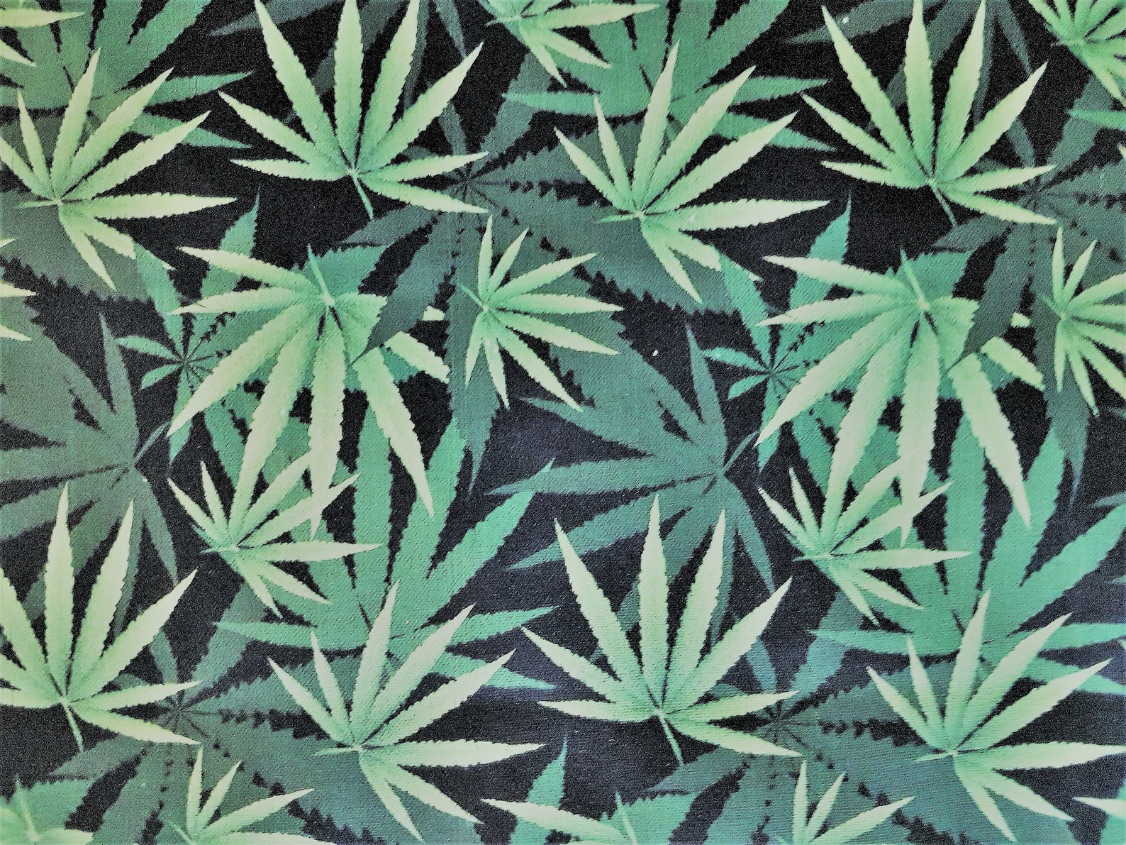Cannabis Fabric Weed Fabric Cannabis Plants on Black 100 Etsy
