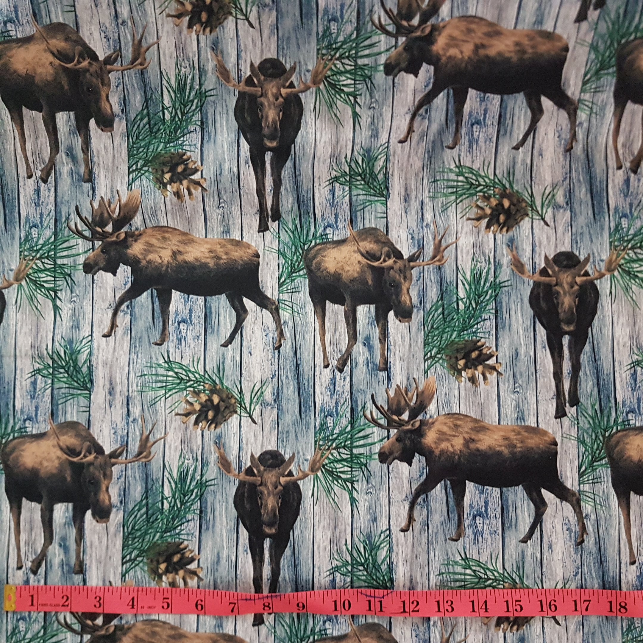 Moose Fabric Wildlife Fabric Moose on the Loose Premium Etsy