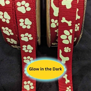 Sturdy Nylon Webbing, Glow in the Dark, Red, Dog Collar, Cat Collar, Leashes