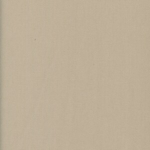 May include: A plain, off-white canvas fabric with a subtle woven texture.