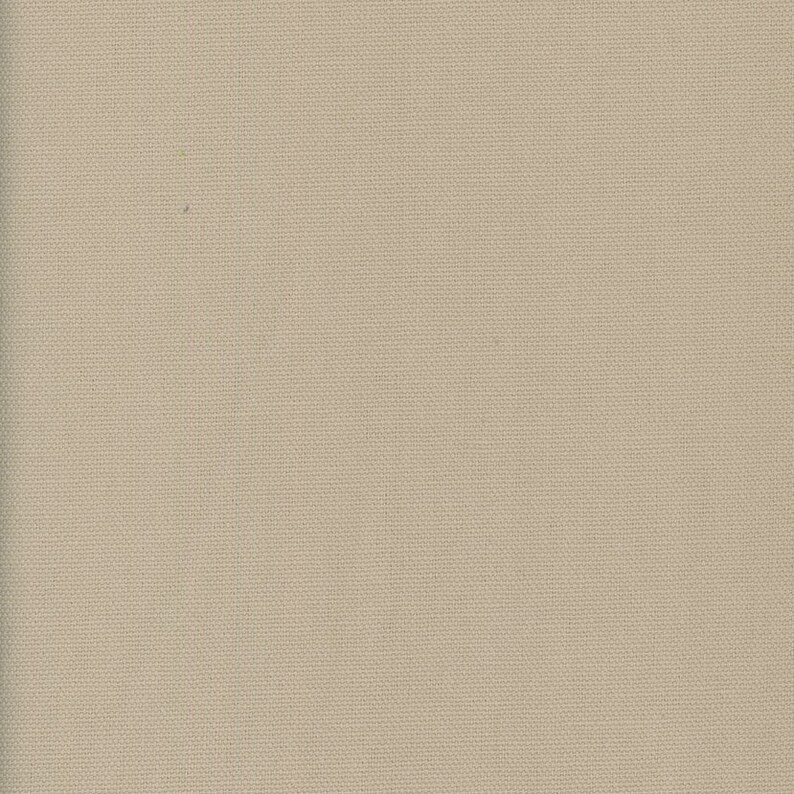 May include: A plain, off-white canvas fabric with a subtle woven texture.
