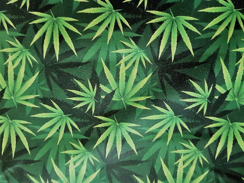 Cannabis Fabric Weed Fabric Cannabis Plants on Green 100 Etsy Canada