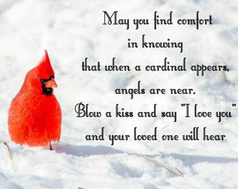 Cardinal print 8 x 10, mourning cardinal print, bereavement print, sympathy gift