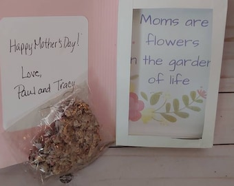 Mother's day seed bomb card and  butterfly garden flower seeds