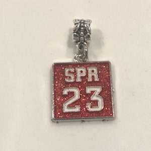 Red and White  Initiate/Pledge Term  Year Charm (1963-2024)