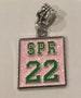 Pink and Green  Initiate/Pledge Term  Year Charm (1971-2022) 