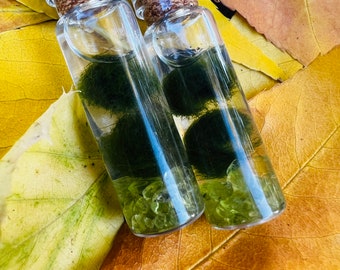 Gigantic Marimo Algae Balls Lubudup Java Moss Marimo Moss Ball gamberetti e lumache li adorano Palline da Gioco frugali Crea Un Ambiente Sano