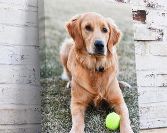 Custom Dog Photo Canvas Print – Pet Portrait Wall Art, Ready to Hang