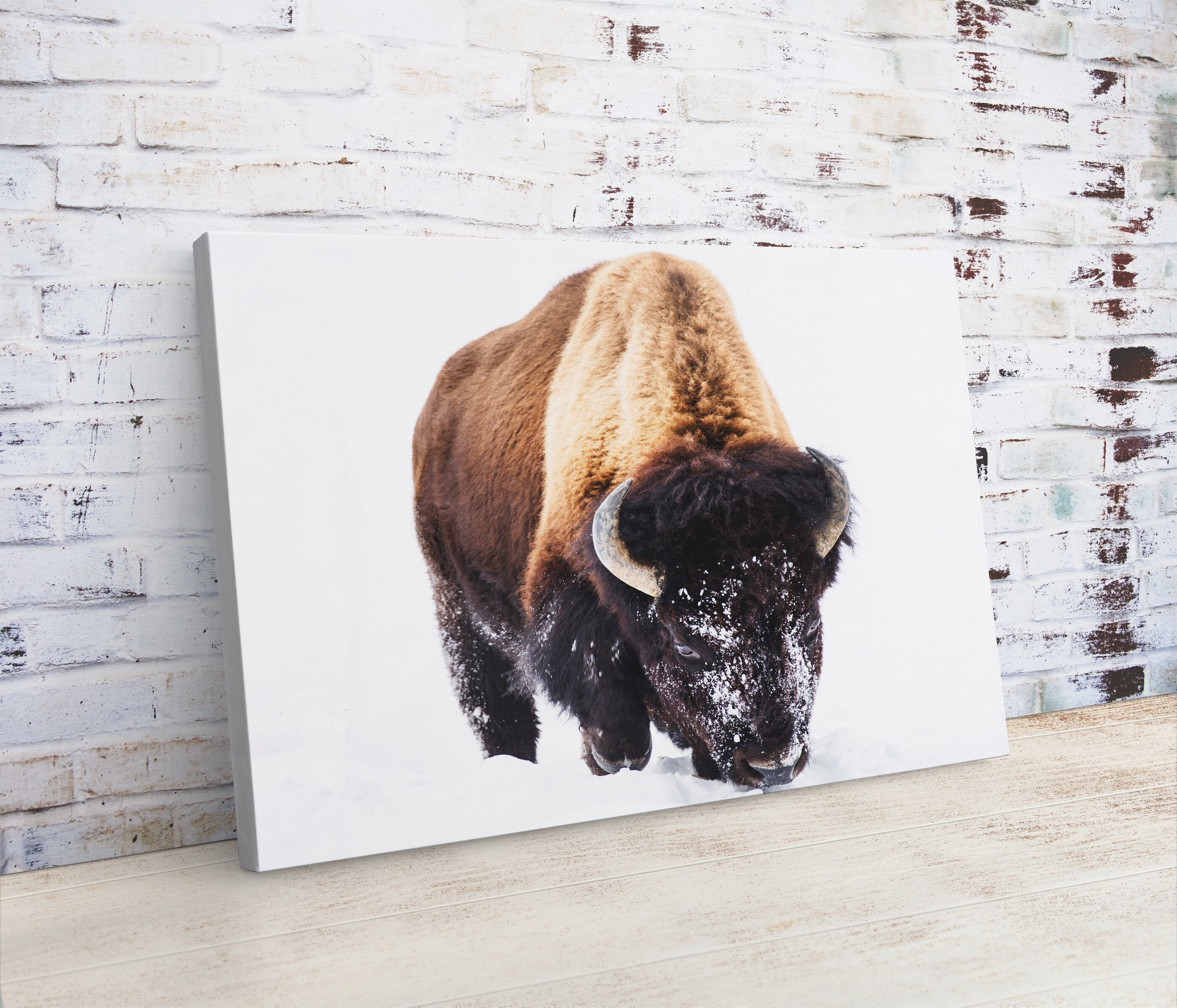 Bison Picture Art Framed Canvas Print Bison Picture Canvas Wall Art ...