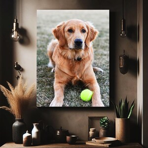 May include: A framed canvas print featuring a Golden Retriever dog lying on grass, with a tennis ball in front. The dog has light brown fur and is looking directly at the viewer. The background is blurred, with a neutral color palette.