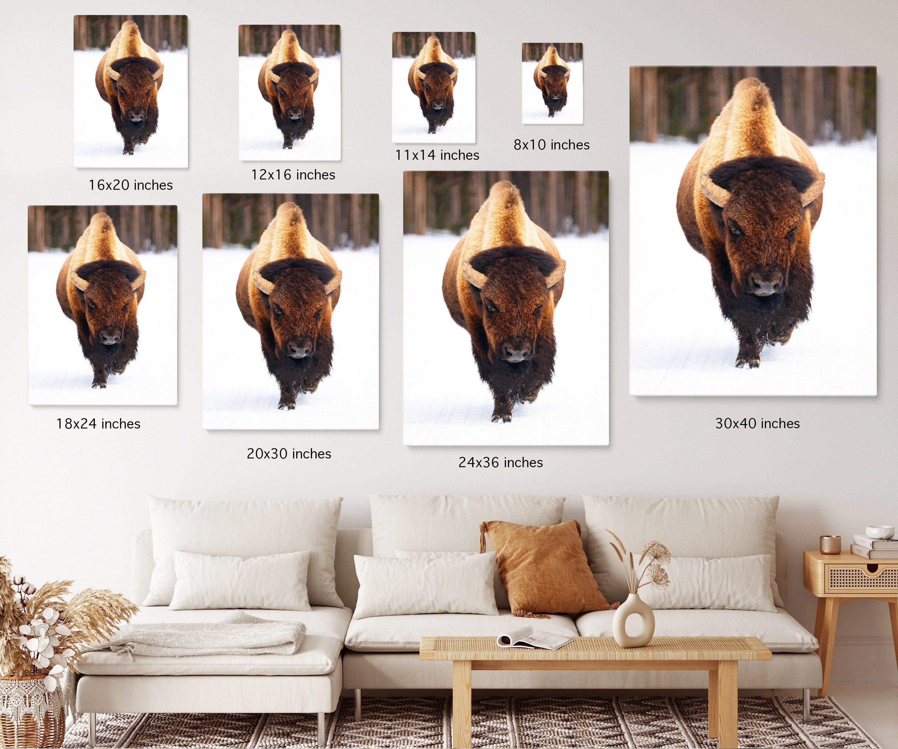 Bison Picture Art Framed Canvas Print Bison Picture Canvas Wall Art ...