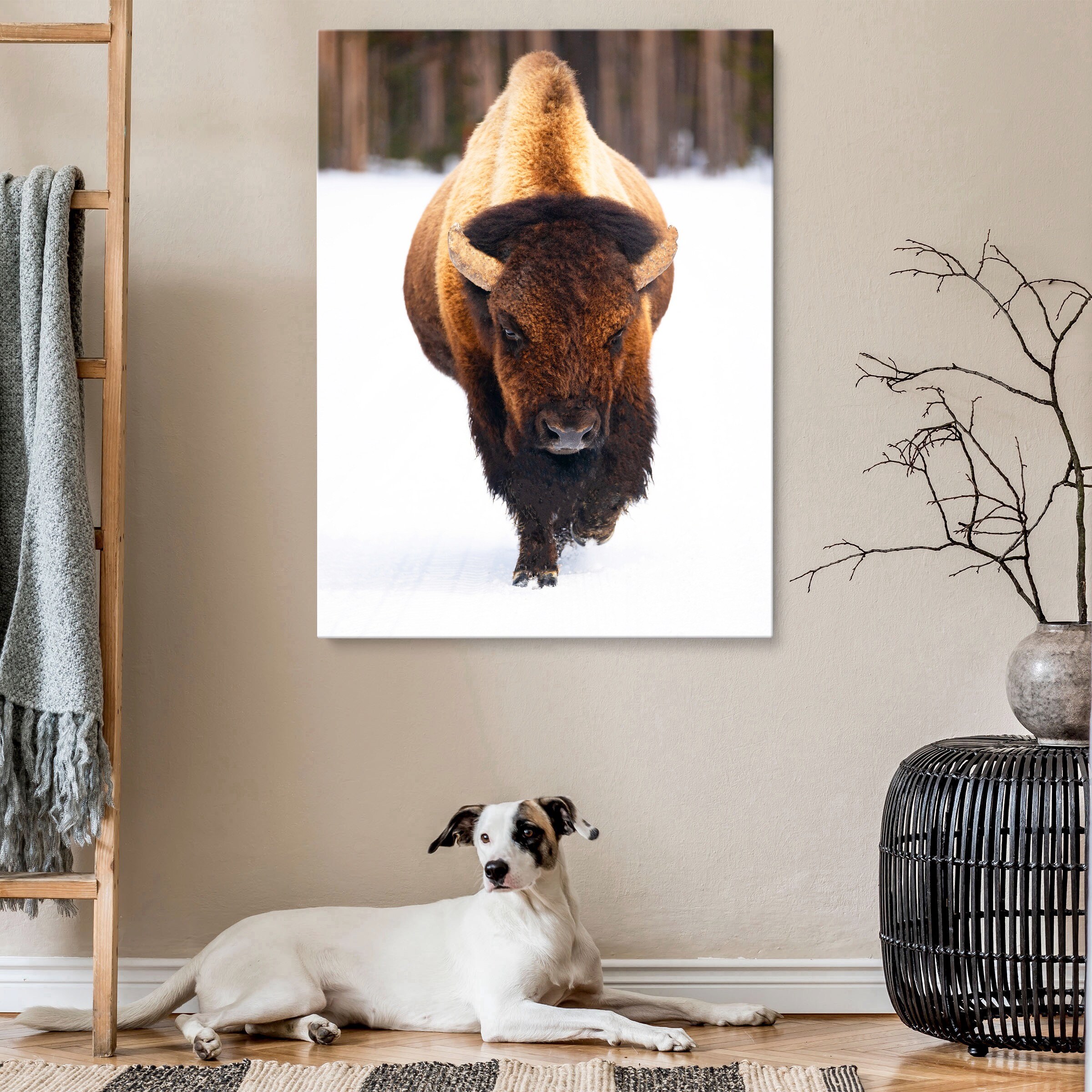 Bison Picture Art Framed Canvas Print Bison Picture Canvas Wall Art ...