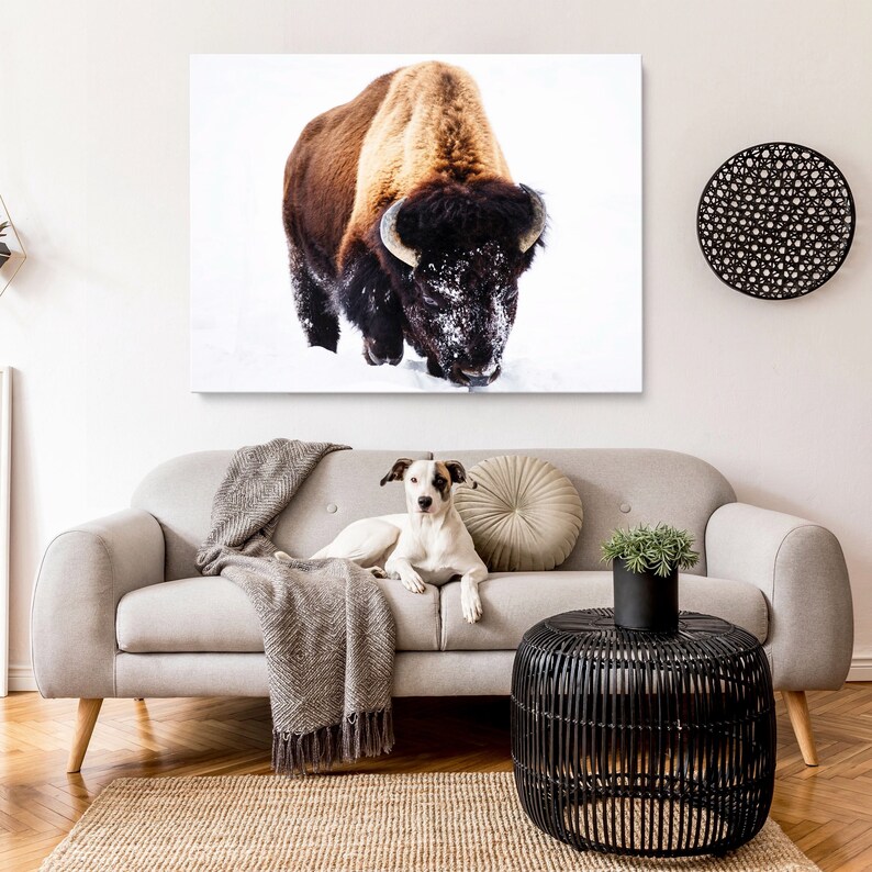 Bison Picture Art Framed Canvas Print Bison Picture Canvas Wall Art ...