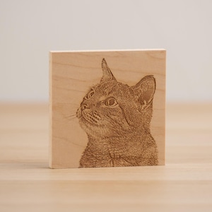 May include: A close-up of a wooden plaque with a laser-engraved image of a cat looking up. The cat is brown and has a white patch on its chest.