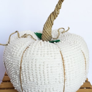 May include: A white, textured pumpkin with a brown twine stem and green leaves. The pumpkin is decorated with brown twine accents.