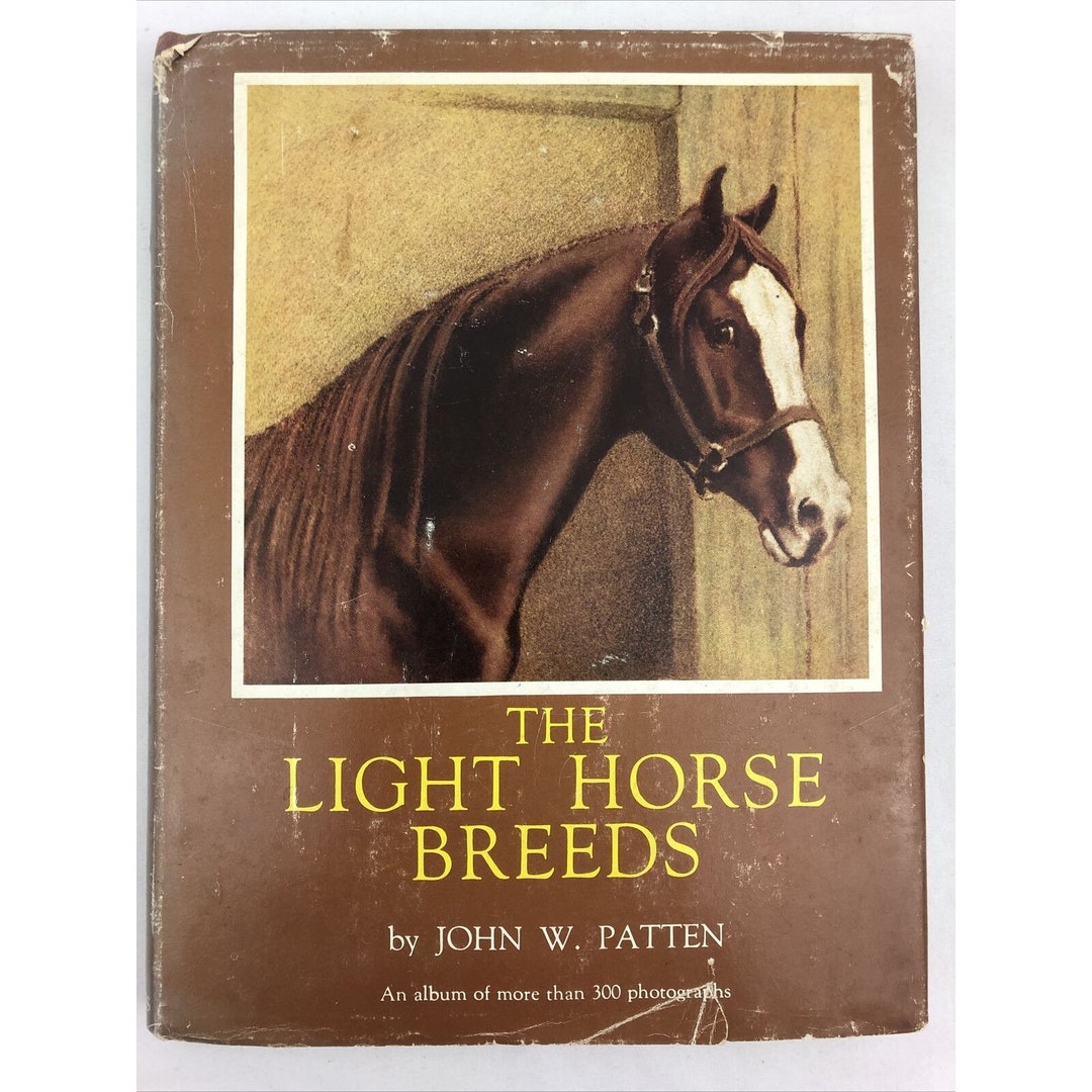 Light Horse Breeds Their Origin Characteristics and Principal Etsy