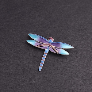 Silver enamel dragonfly brooch