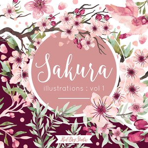 Acuarela Sakura Clip Art Imágenes, Flor de cerezo Imágenes prediseñadas gráficos de diseño, ilustraciones de flores, flores de boda, boda de acuarela rosa