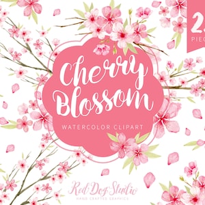 Acuarela Cherry Blossom Imágenes Prediseñadas, Acuarela pintada a mano ClipArt, Flor de cerezo Clip Art, Rosa Floral Gráficos