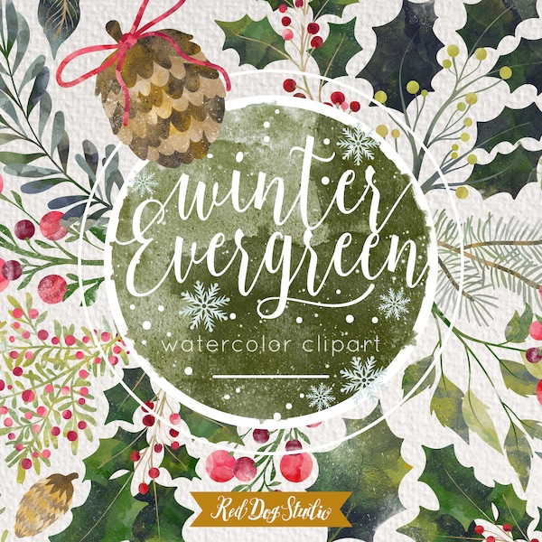 Winter Greenery Clipart, Watercolor Christmas Clipart, Pinecone, Holly Berries, Winter Wreath, Pine Evergreen, Holiday Leaves Branch Berry