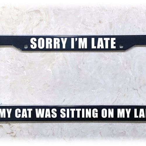 All You Need is Love and A Cat License Plate Frame License Etsy