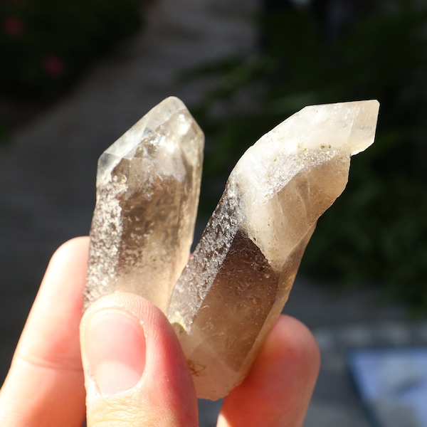 Hallelujah Junction - Two (2) Scepter Smokey Quartz Points -  - 79g 2" & 2.75" length. Both scepter points! lot 1Z