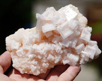 XXL Pink Halite Crystal. Top Quality AA+! STUNNING Vertical Pink Halite Formation! 258g