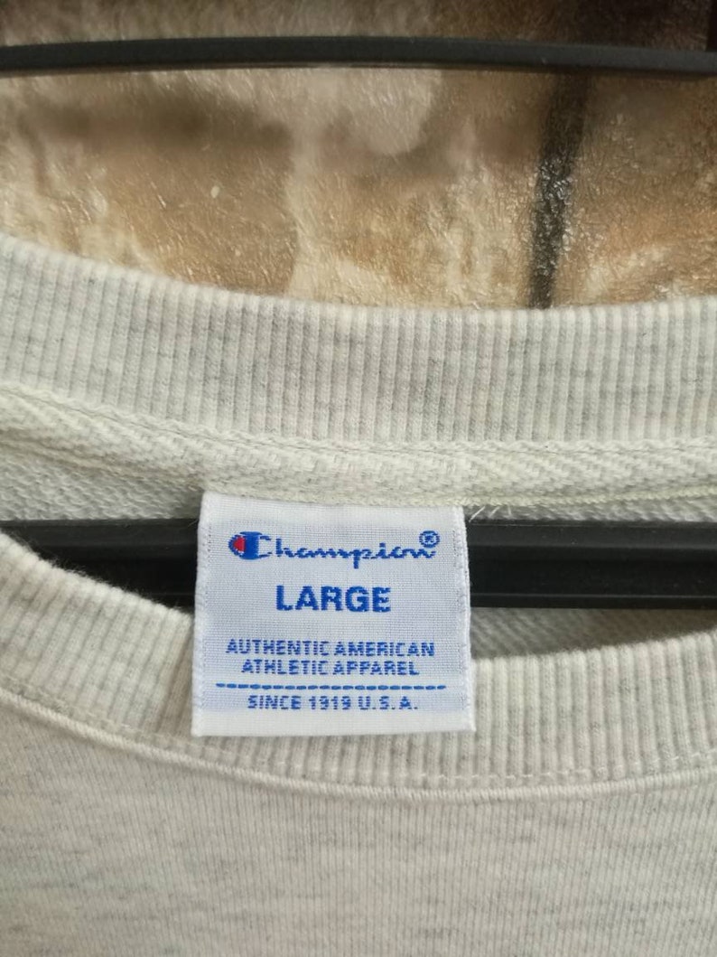 Champion Sweatshirt Rare Design Nice Design