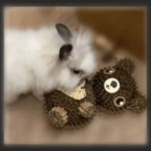 Rabbit Toys, Guinea Pig Toys, Vine Heart Teddy Bear Toy