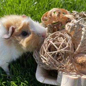 Guinea Pig Toys, Natural Chews Gift Basket, Rabbit Toys, Birds, Hamsters, Cavy toys, Chinchillas
