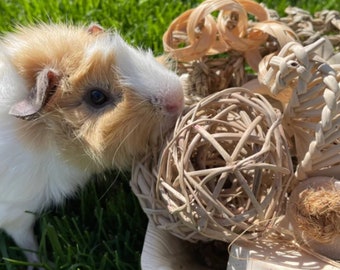 Guinea Pig Toys, Natural Chews Gift Basket, Rabbit Toys, Birds, Hamsters, Cavy toys, Chinchillas