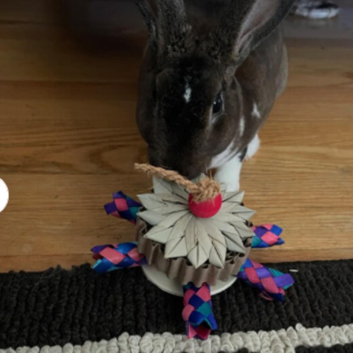 Rabbit Toys for Rabbits Fling and Chew Toy Rabbit Enrichment Etsy