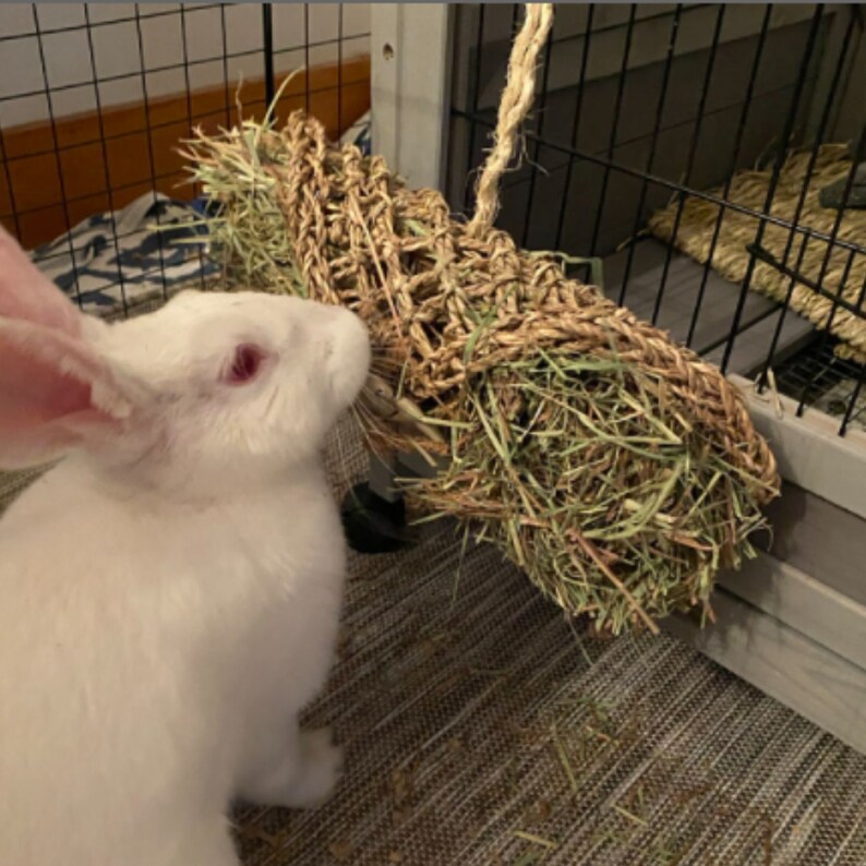 Rabbit Toy, Hanging Hay Clutch Purse, Guinea Pig Toy, Chinchilla Toy image 4