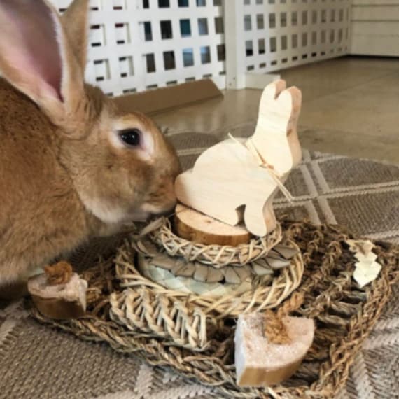 Juguetes caseros para tu conejo – Bunny Lovers