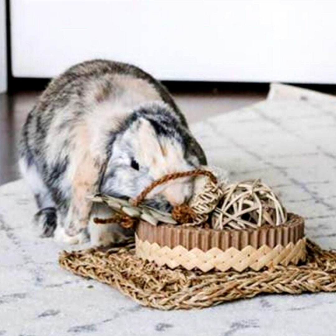 Natural bunny cheap toys