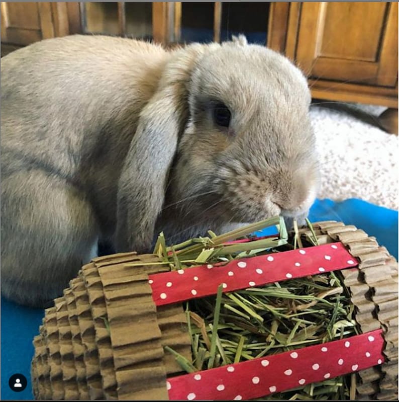 Rabbit Toy Winnie's Unstuffed Hay Roller Guinea Pig Etsy