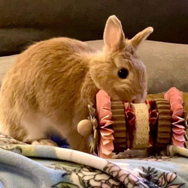 Rabbit Toys for Rabbits Mini Shredder Chew Toy Bun Mom Gift Etsy