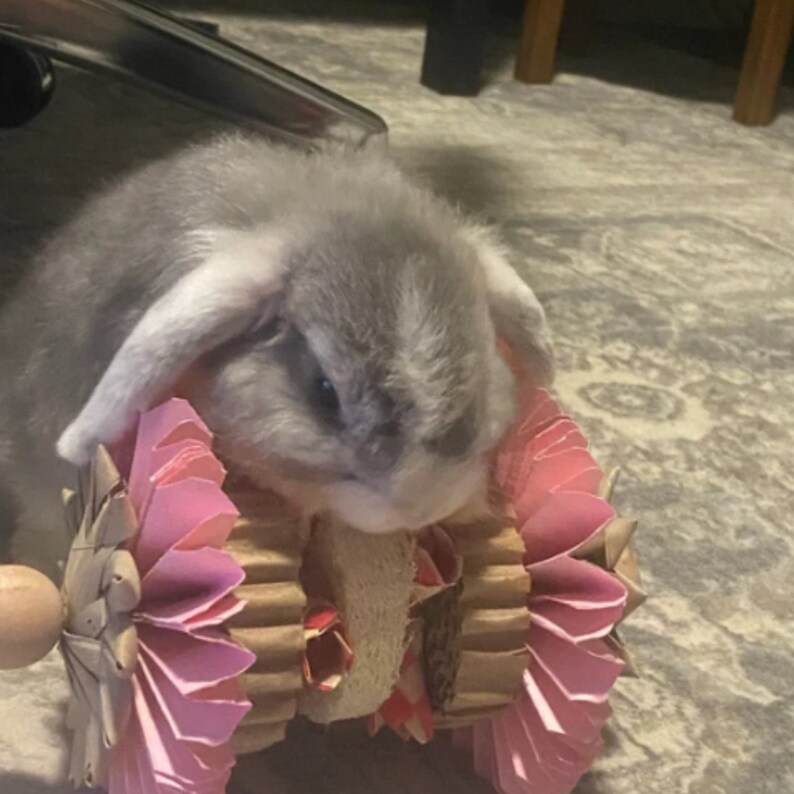 Rabbit Toys for Rabbits Mini Shredder Chew Toy Bun Mom Gift Etsy