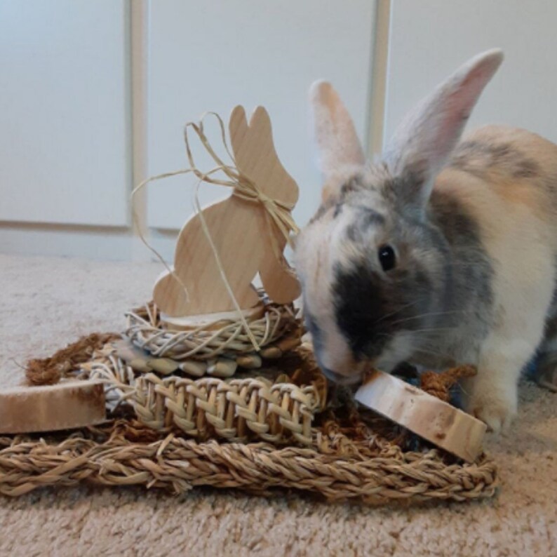 Rabbit Toys Activity Mat Spring Bunny Natural Busy Mat Etsy