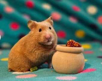 Hamster Toy Winnie's Honey Treat Pot Simple Logic Toy HamsterTreat Toy for Hamster Mom Gift Gotcha Day Present for Hamster Owner