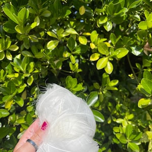 May include: A bunch of soft, white feathers held in a hand. The feathers are fluffy and delicate, with a slight sheen.