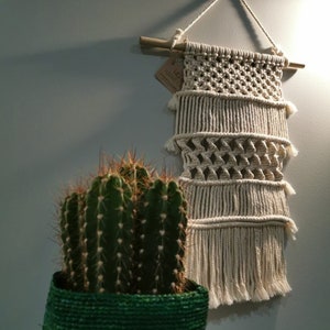May include: A green woven pot with a white stripe holds a cactus plant. A macrame wall hanging with a geometric pattern hangs on a light gray wall behind the plant.