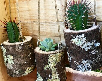 Petits pots en bois faits main