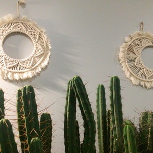 May include: Two macrame wall hangings with circular frames and fringed edges are suspended on a light gray wall. Below, several tall, green cacti with sharp spines are visible, creating a contrast of textures and colors.
