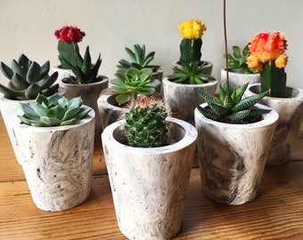 Pots en plâtre faits main effet marbré