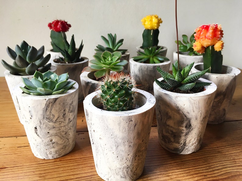 Pots en pl\u00e2tre faits main effet marbr\u00e9