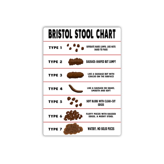 Bristol Stool Chart Download