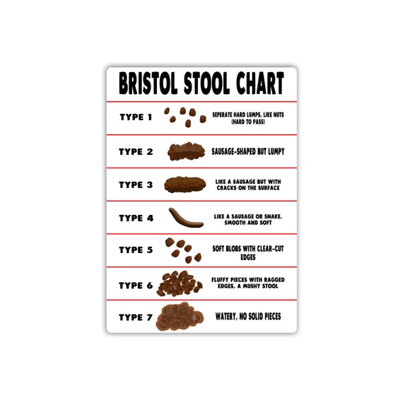 Bristol Stool Chart Download