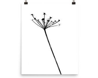 Anthriscus Sylvestris -  Black and White Plant Poster, Botanical Art Print, 8x10, 12x16, 12x18, 16x20, 18x24, 24x36", 70x100cm, 50x70cm,