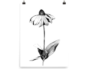 Echinacea Paradoxa II, Monochrome Plant poster, Black and White or Yellow-Pink, Vertical Art - 8x10 - 12x16 - 12x18 - 16x20 - 18x24 - 24x36"